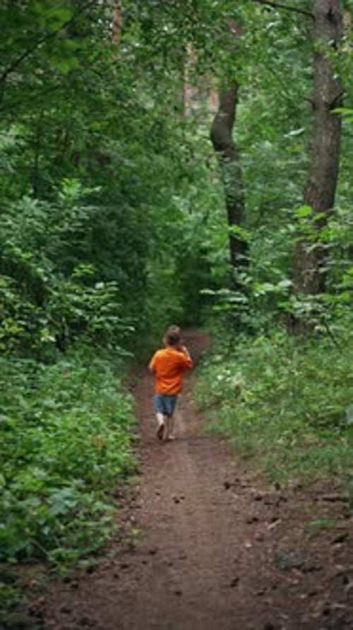 Rückansicht eines Babys, das barfuß auf dem Pfad im Wald läuft. Kind bleibt in der Ferne stehen,