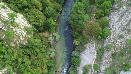 Beautiful Waterfall in Green Forest Top View