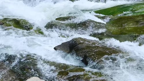 Stormy streams of water and waterfalls of a mountain river.