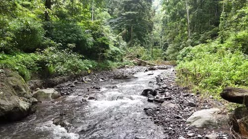 Der fließende Fluss wird zur Bewässerung von Reisfeldern genutzt.
