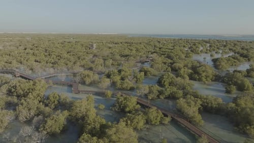 Aerial view of Jubail Mangrove Park, Abu Dhabi, United Arab Emirates.