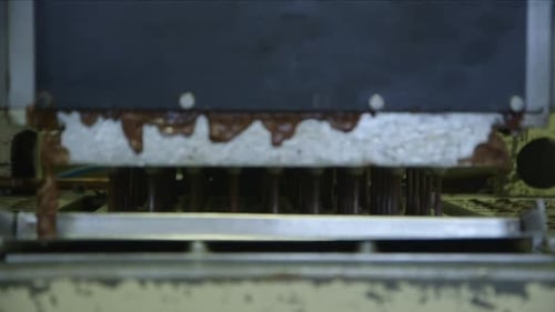 molds are filled with chocolate in a chocolate factory