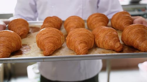 Fresh Croissants on Baking Tray in Bakery