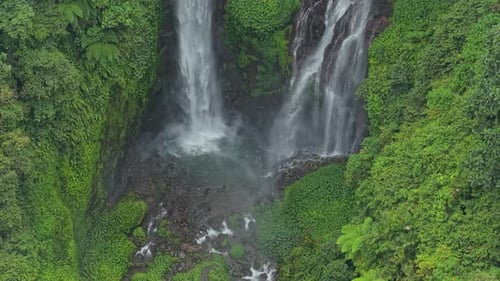 Sekumpul waterfall flowing through a lush jungle in bali, indonesia