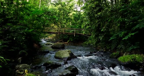 Low aerial over calming jungle stream running beneath wooden bamboo bridge, Bali