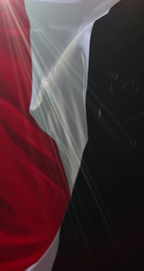 Dynamic Red White Black Waving Fabric Vertical Motion Background