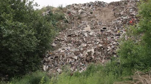 Landfill overflowing with Garbage Next to Green Trees