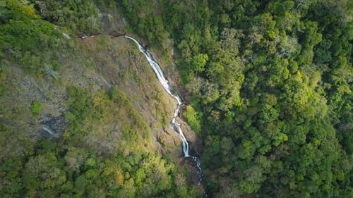 Bijagual waterfall flows over a rocky cliffside surrounded by lush jungle in Costa Rica