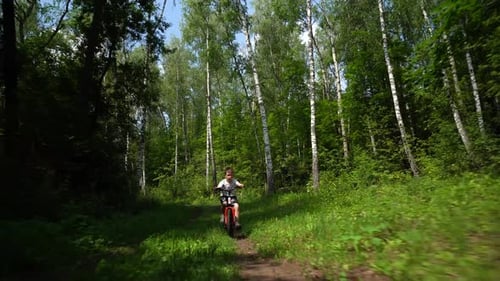 A child rides a bicycle along a trail in a forest park among trees