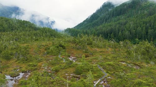 Aerial view of a person walking on a trail, United States.