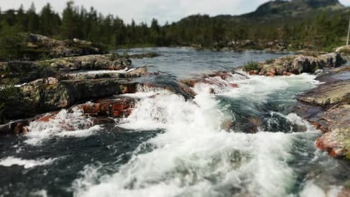 The camera is moving backwards above the wild river, revealing the surroundings. Clean, transparent