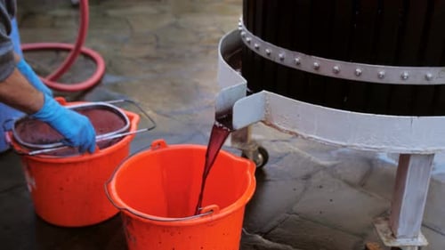 Closeup the Wine is Poured From the Fermentation and Fermentation Tank Into a Bucket with a Large