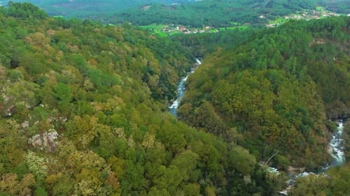 Tropical Mountains Densely Covered With Forests In Toxa River In Pontevedra Spain.