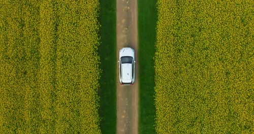 Aerial View Electric Car Driving on Country Road Luxury Modern Vehicle Riding Fast Along Trees and