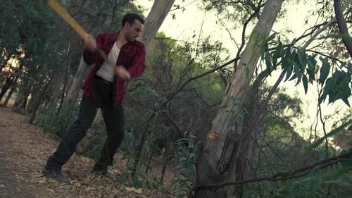 El leñador está cortando el tronco de un árbol en un bosque