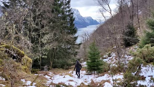 Girl walking downhill among trees in nature on a cloudy day with beautiflul Norwegian fjord Veafjord