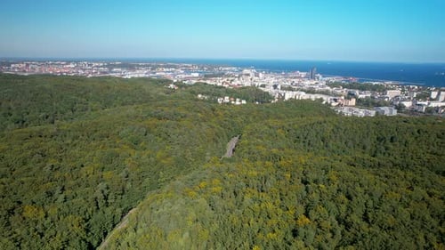 Vue aérienne en approche au-dessus des arbres de la forêt et de la ville de Gdynia en arrière-plan avec la mer Baltique, Pologne