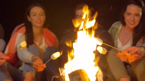 Friends Roasting Marshmallows around Campfire at Night
