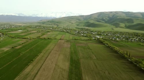 Aerial view of fields during spring