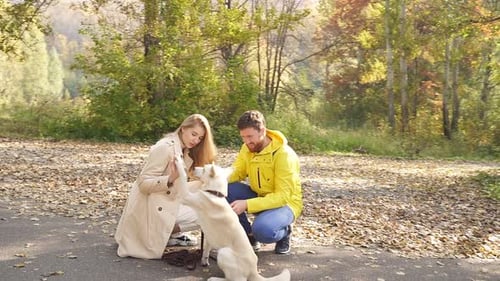a Young Married Couple Walks with Their Beloved White Dog in the Woods on an Autumn Day They Give