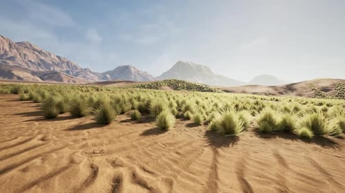 Desert Landscape with Low Bushes Surrounded By Mountains in Bright Sunlight