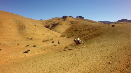 Cowboy On Horseback Traveling On Mountain Range On Sunny Day 5