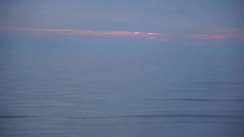 Serene ocean horizon with soft twilight hues