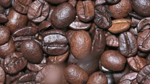 Roasted Coffee Beans Filling the Screen