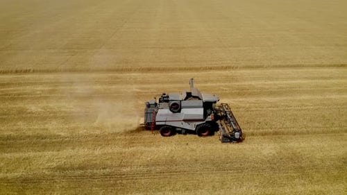 Aerial View Combine Agricultural Machinery Harvesting Ripe Wheat on Farm Field
