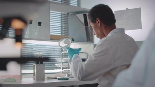 Scientist Examining Petri Dish in Laboratory