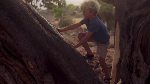 Furchtloses Kind klettert tagsüber auf einen Baum