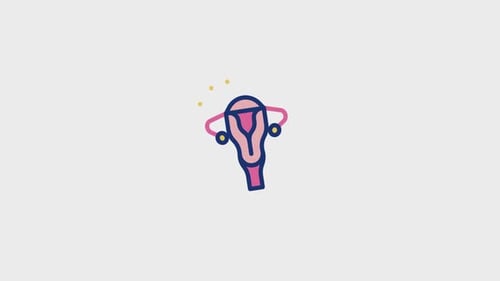 Animated Medical Icon of Female Reproductive System
