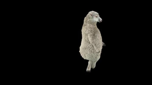 101 Slide Hip Hop Dance Sheep HD