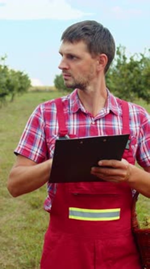 Gardener Agronomist Man Farmer Analyzing Hazelnuts Tree Rows in Garden Making Notes in Journal