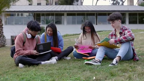 University Students Studying Together Sitting on the Grass at College Campus