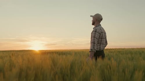 A Farmer is Walking Through a Wheat Field at Sunset