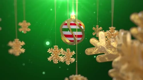 Happy New Year 2025 Opener Green