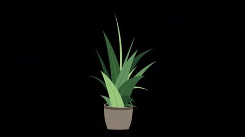 Home plant animation. Potted plant isolated. Decorative green houseplant in pot. Plant in pot