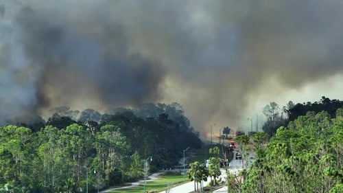 Aerial View of Fire Department Firetrucks Extinguishing Wildfire Burning Severely in Florida Jungle