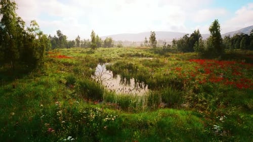 Lebendige Frühlingslandschaft mit blühenden Wildblumen und einem ruhigen Teich am Mittag