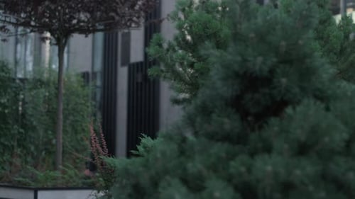 Green trees surround modern office building at peaceful downtown city garden