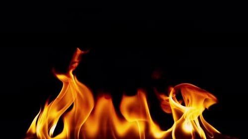 Abstract Isolated Hell Fire Flames 7