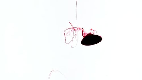 Color Red Paint Drops in Water Abstract Color Mix Drop of Ink Color Mix Paint Falling on Water Smoke