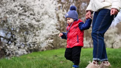 Child Walks Hand-in-Hand in a Spring Park