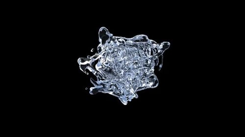 Dynamic Fluid Splash Transition Reveal