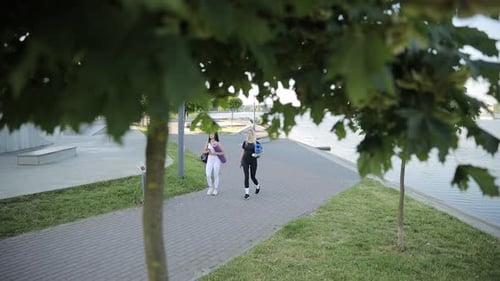 Young Fit Athletic Women in Sportswear Go to Fitness Training in the City Park