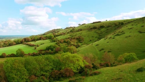 Scenic Aerial View of Rolling Green Hills