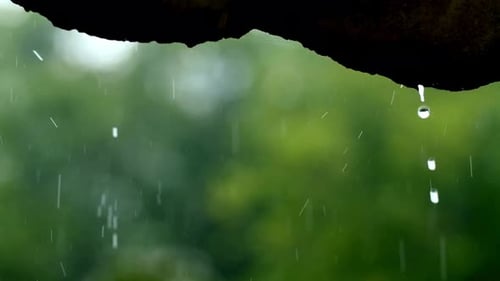 Water Drop Falling