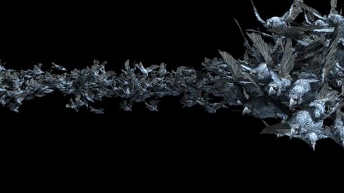 Stylized Bird Swarm Animation Flying Across Screen