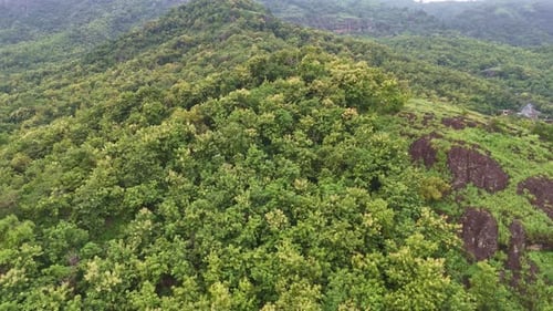 Aerial drone view of treetop of tropical rainforest. Wilderness jungle on the hills.